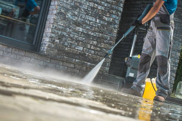 Best Animal Enclosure Cleaning  in New Port Richey, FL
