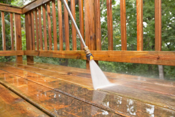 Best Gutter Cleaning  in New Port Richey, FL